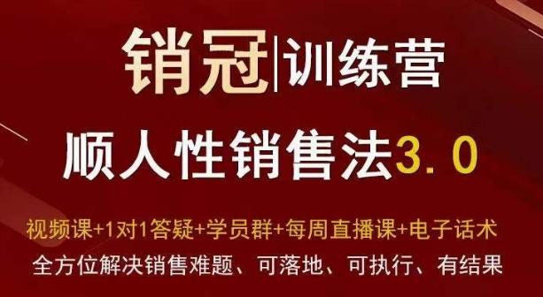 爆款！销冠训练营3.0之顺人性销售法，全方位解决销售难题、可落地、可执行、有结果-跃知万川
