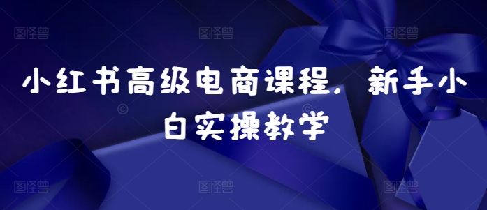 小红书高级电商课程，新手小白实操教学-跃知万川
