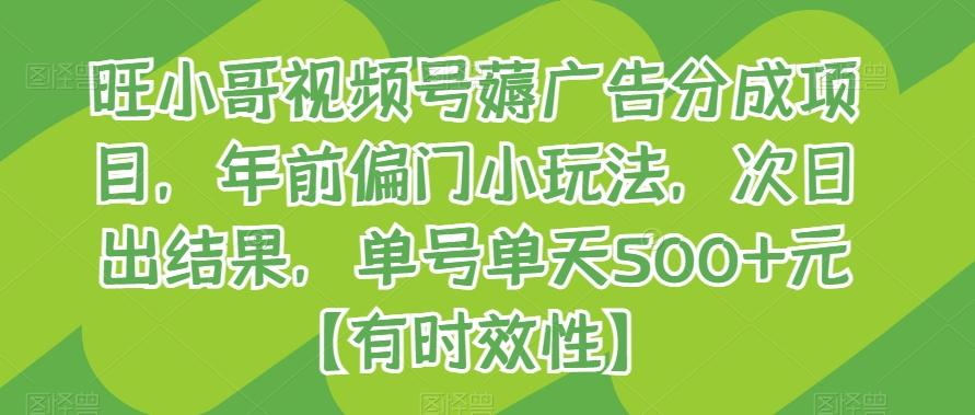 旺小哥视频号薅广告分成项目，年前偏门小玩法，次日出结果，单号单天500+元【有时效性】-跃知万川