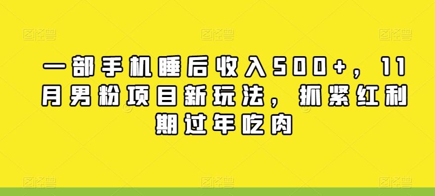 一部手机睡后收入500+，11月男粉项目新玩法，抓紧红利期过年吃肉-跃知万川