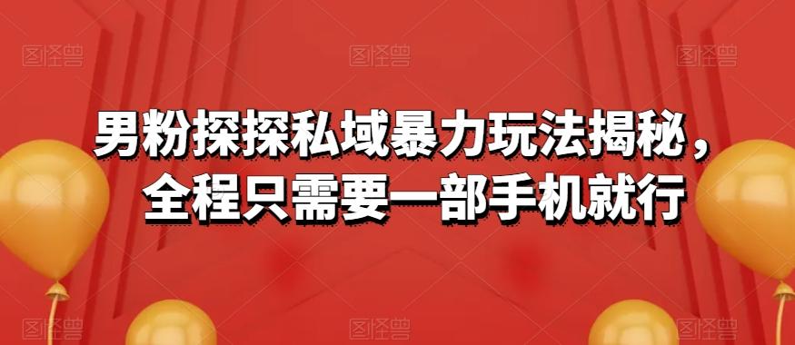 男粉探探私域暴力玩法揭秘，全程只需要一部手机就行-跃知万川