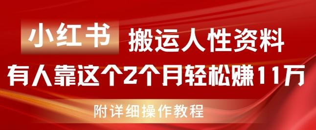 小红书搬运人性资料，有人靠这个2个月轻松赚11w，附教程【揭秘】-跃知万川