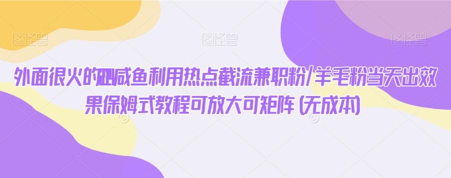 外面很火的2024咸鱼利用热点截流兼职粉/羊毛粉当天出效果保姆式教程可放大可矩阵(无成本)-跃知万川
