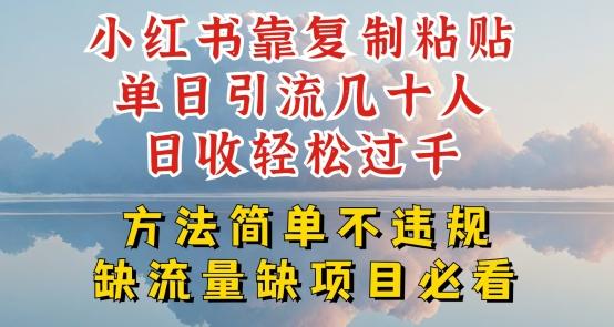 小红书靠复制粘贴单日引流几十人目收轻松过千，方法简单不违规【揭秘】-跃知万川