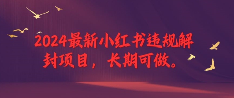 2024最新小红书违规解封项目，长期可做，一个可以做到退休的项目【揭秘】-跃知万川