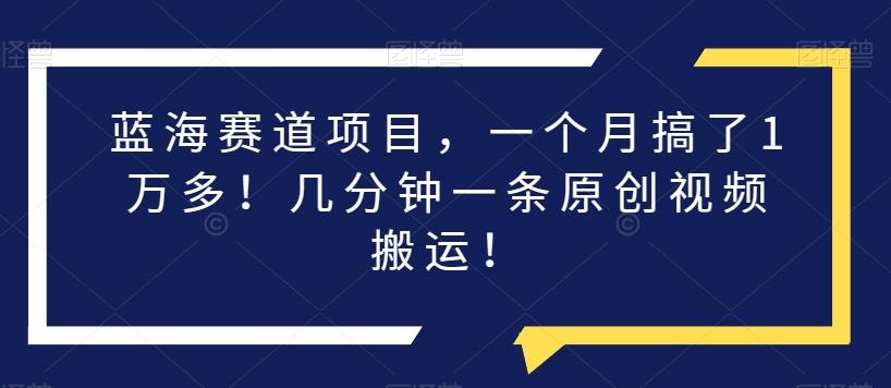 蓝海赛道项目，一个月搞了1万多！几分钟一条原创视频搬运！-跃知万川