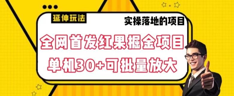 全网首发红果免费短剧掘金项目，单机30+可批量放大【揭秘】-跃知万川