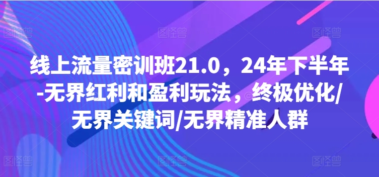 线上流量密训班21.0，24年下半年-无界红利和盈利玩法，终极优化/无界关键词/无界精准人群-跃知万川