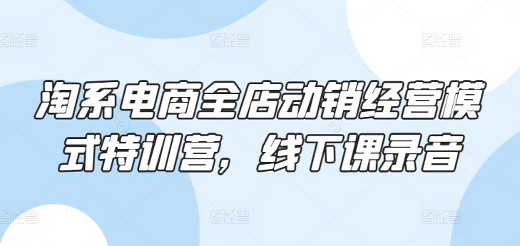 淘系电商全店动销经营模式特训营，线下课录音-跃知万川