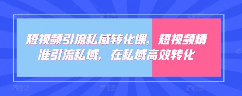 短视频引流私域转化课，短视频精准引流私域，在私域高效转化-跃知万川