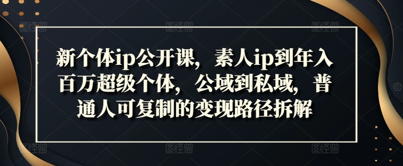 新个体ip公开课，素人ip到年入百万超级个体，公域到私域，普通人可复制的变现路径拆解-跃知万川