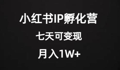 价值2000+的小红书IP孵化营项目，超级大蓝海，七天即可开始变现，稳定月入1W+-跃知万川