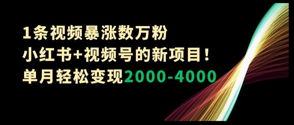 1条视频暴涨数万粉–小红书+视频号的新项目！单月轻松变现2000-4000【揭秘】-跃知万川