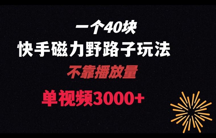 一个40块，快手联合美团磁力新玩法，无视机制野路子玩法，单视频收益4位数【揭秘】-跃知万川