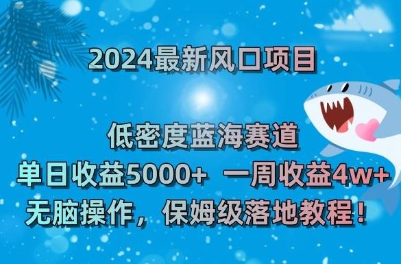 2024最新风口项目，低密度蓝海赛道，单日收益5000+，一周收益4w+！【揭秘】-跃知万川