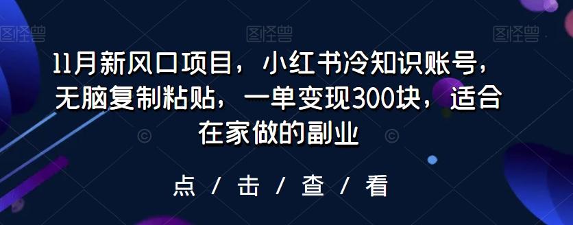 11月新风口项目，小红书冷知识账号，无脑复制粘贴，一单变现300块，适合在家做的副业-跃知万川
