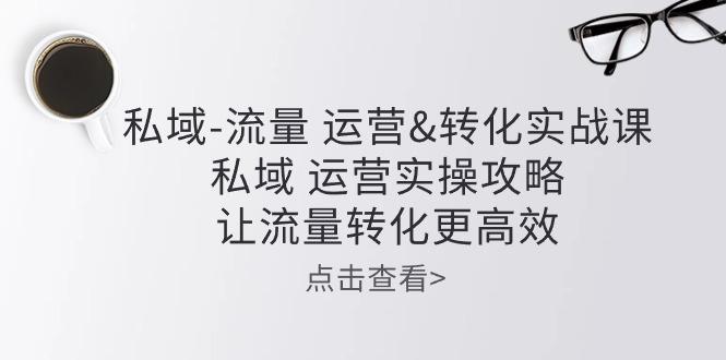 私域-流量 运营&转化实操课：私域 运营实操攻略 让流量转化更高效-跃知万川