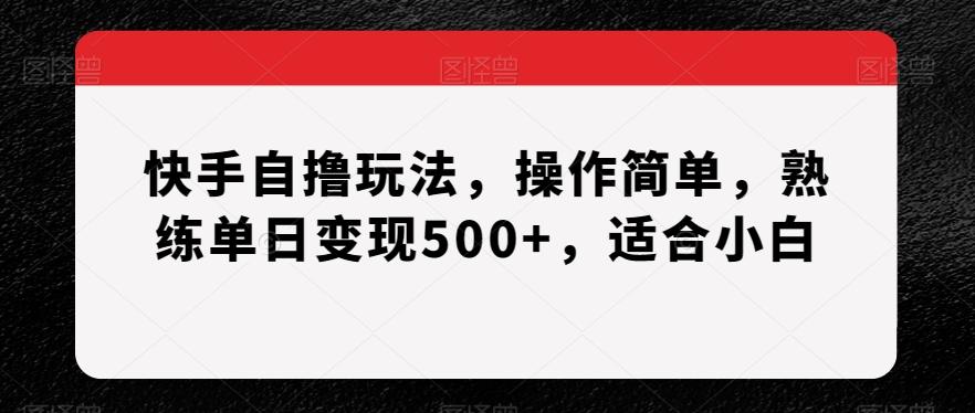 快手自撸玩法，操作简单，熟练单日变现500+，适合小白【揭秘】-跃知万川