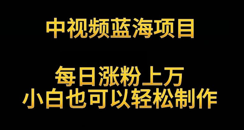 中视频蓝海项目，解读英雄人物生平，每日涨粉上万，小白也可以轻松制作，月入过万不是梦【揭秘】-跃知万川
