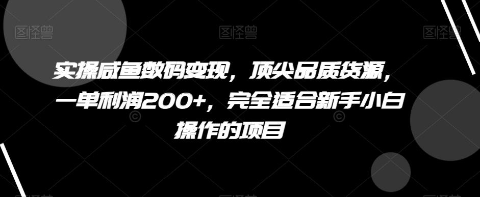 实操咸鱼数码变现，顶尖品质货源，一单利润200+，完全适合新手小白操作的项目【揭秘】-跃知万川