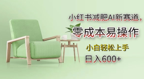 小红书减肥AI新赛道，零成本易操作，日入多张，小白轻松上手【揭秘】-跃知万川