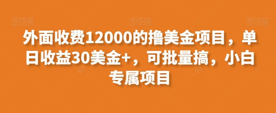 外面收费12000的撸美金项目，单日收益30美金+，可批量搞，小白专属项目-跃知万川