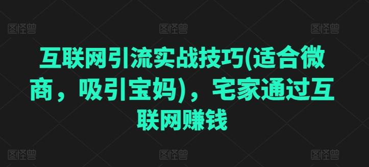 互联网引流实战技巧(适合微商，吸引宝妈)，宅家通过互联网赚钱-跃知万川
