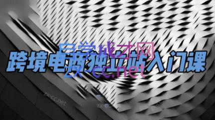 团长·跨境电商独立站入门课(2小时精华)-跃知万川