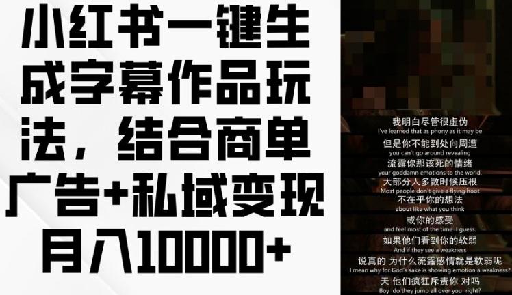 小红书一键生成字幕作品玩法，结合商单广告+私域变现月入1w+【揭秘】-跃知万川