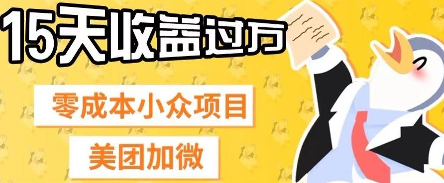 零成本小众项目，美团加微，一单4.5+，15天已经有人赚上万收益-跃知万川