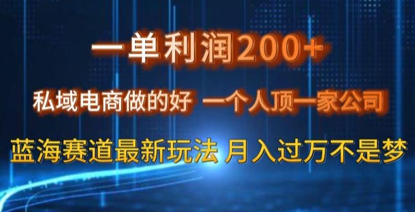 一单利润200私域电商做的好，一个人顶一家公司蓝海赛道最新玩法【揭秘】-跃知万川