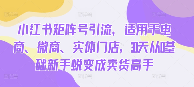 小红书矩阵号引流，适用于电商、微商、实体门店，30天从0基础新手蜕变成卖货高手-跃知万川