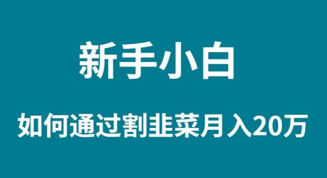 (9308期)新手小白如何通过割韭菜月入 20W-跃知万川