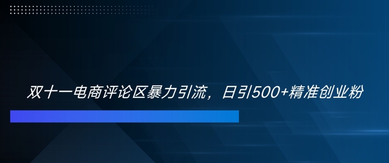 双十一电商评论区暴力引流，日引500+精准创业粉【揭秘】-跃知万川