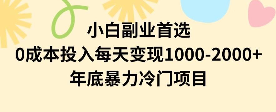 小白副业首选，0成本投入，每天变现1000-2000年底暴力冷门项目【揭秘】-跃知万川
