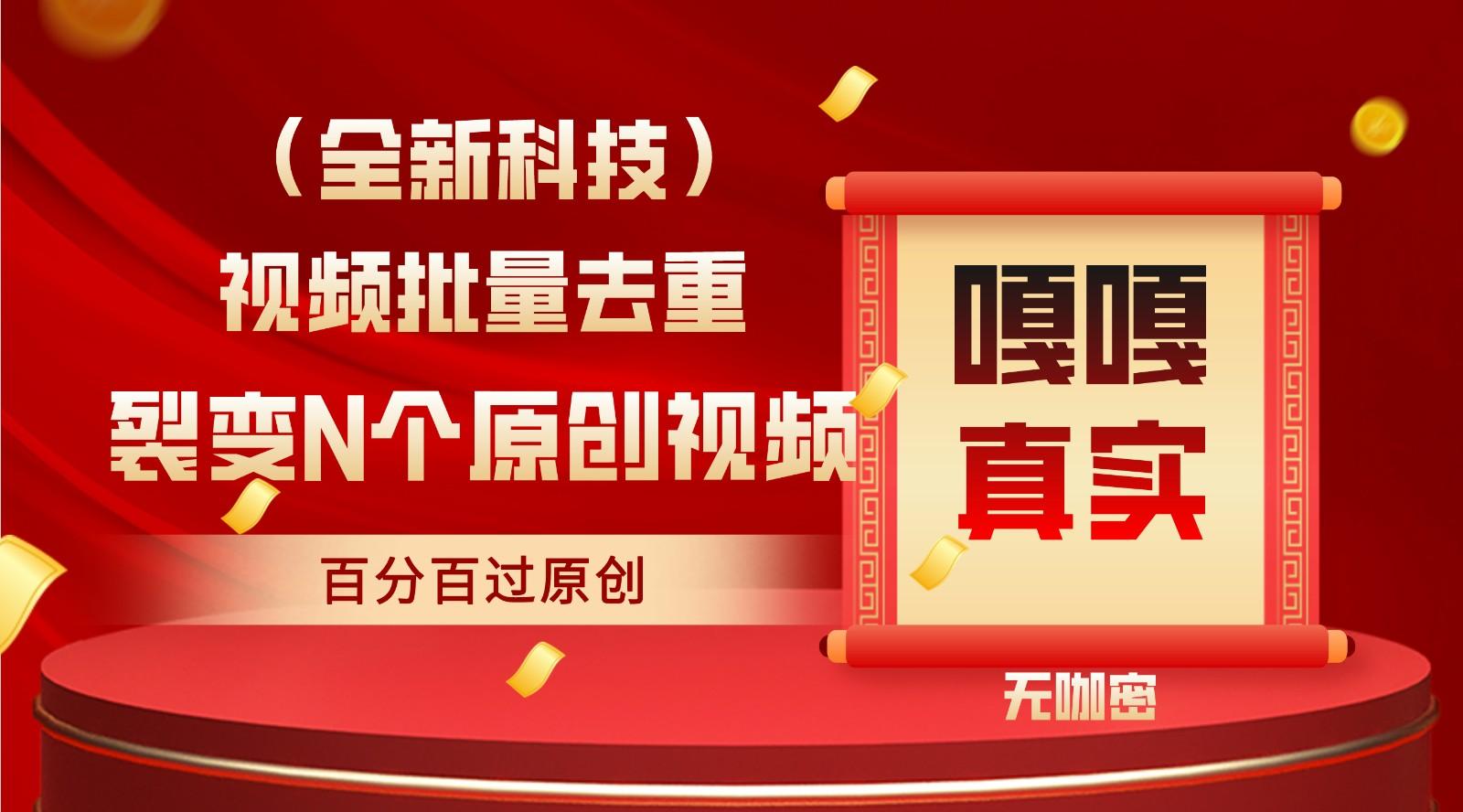 最新全自动去重技术，批量操作百分百过原创-跃知万川