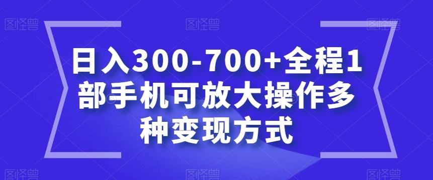 日入300-700+全程1部手机可放大操作多种变现方式【揭秘】-跃知万川