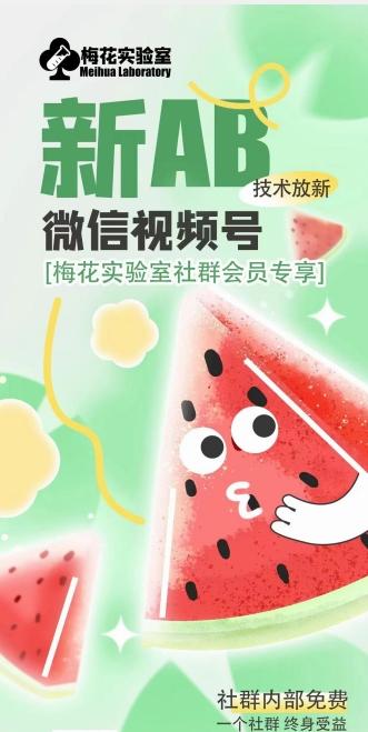 梅花实验室2024年AB技术视频号AB合成破解版-跃知万川