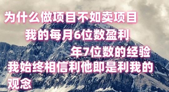 做项目不如卖项目，每月6位数盈利，年7位数经验-跃知万川
