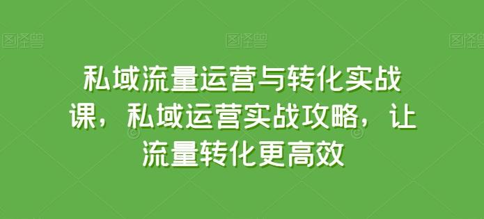 私域流量运营与转化实战课，私域运营实战攻略，让流量转化更高效-跃知万川