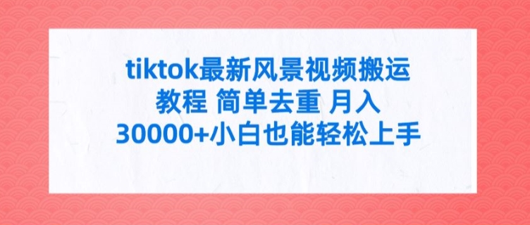 tiktok最新风景视频搬运教程 简单去重 月入3W+小白也能轻松上手【揭秘】-跃知万川