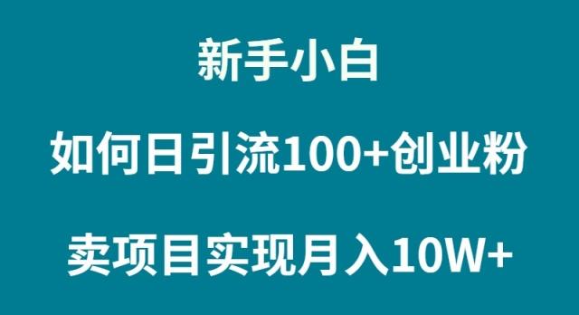(9556期)新手小白如何通过卖项目实现月入10W+-跃知万川