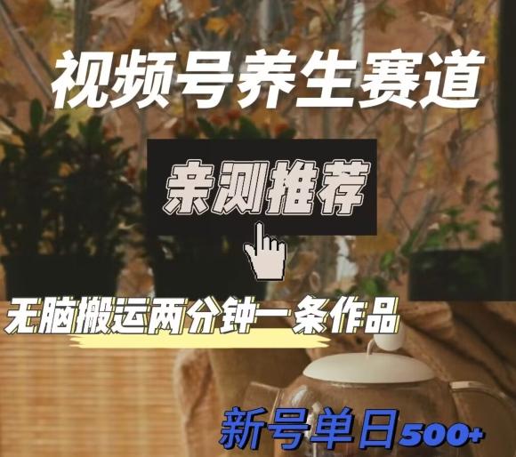 视频号养生赛道暴力掘金，无脑搬运，两分钟一条作品-新日单入500+-跃知万川
