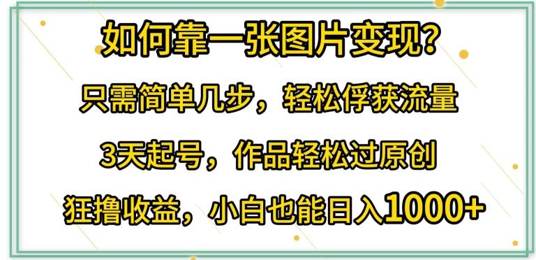 如何靠一张图片变现?只需简单几步，轻松俘获流量，3天起号，作品轻松过原创【揭秘】-跃知万川