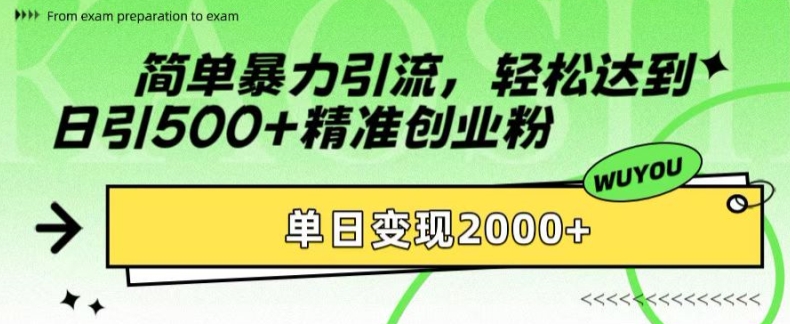 简单暴力引流，轻松达到日引500+精准创业粉，单日变现2k【揭秘】-跃知万川