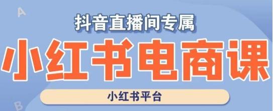 小红书电商高级运营课程，实操教学+案例分析-跃知万川