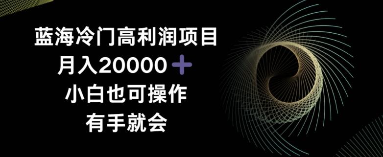 蓝海冷门高利润项目月入2000，小白也可操作有手就会-跃知万川