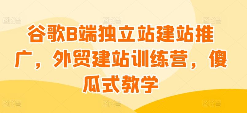谷歌B端独立站建站推广，外贸建站训练营，傻瓜式教学-跃知万川